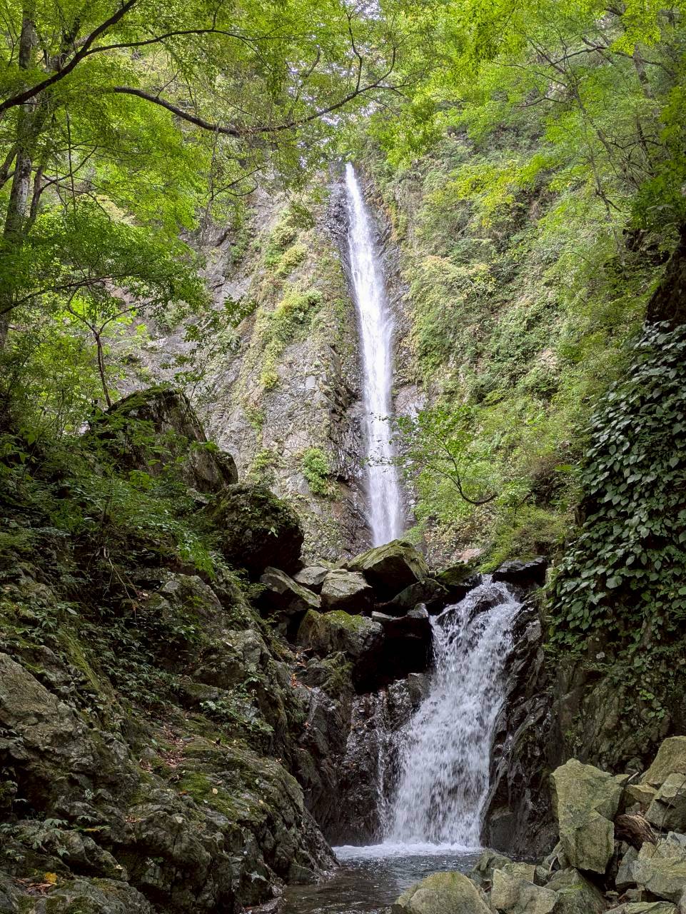 Tile山行記
