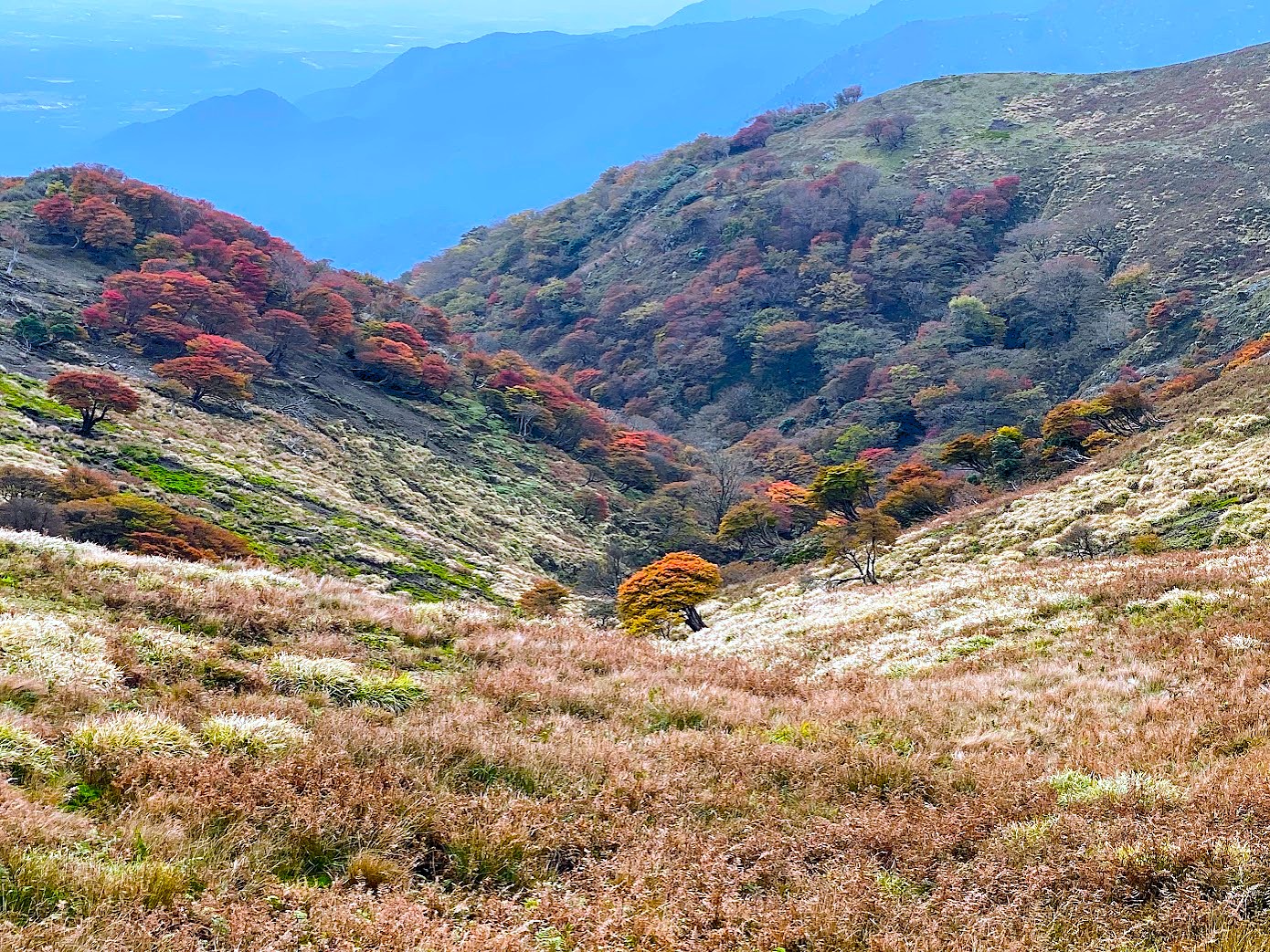 伊吹山、竜ヶ岳