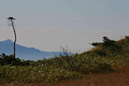 尾瀬・アヤメ平、距離：176km<br />赤城山の右、雲海から頭を出す富士山