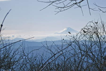 御前山、距離：55km<br />木立の間からの富士山