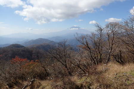塔ノ岳、距離：40km、<br />山頂直下の尾根道からの富士山