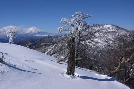 2016.02.07 丹沢山、距離：41km、写真提供：S.Mさん<br />丹沢山へ向かう稜線上から見える富士山