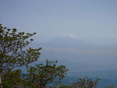 万二郎岳より富士山を望む