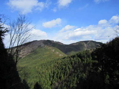 林道から中村山（左）と大棚山を望む
