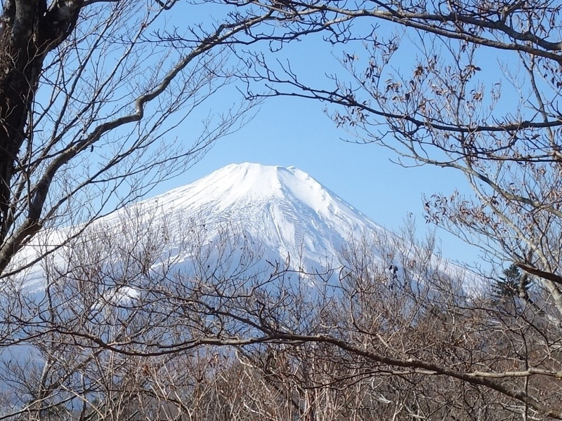 西丹沢・西丸からの富士山 