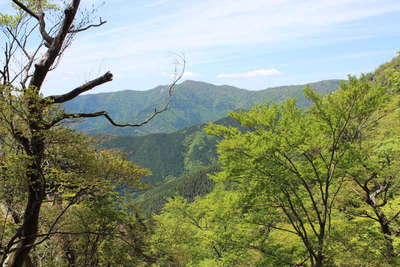 展望の先に京丸山