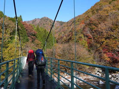 西丹沢自然教室の吊り橋