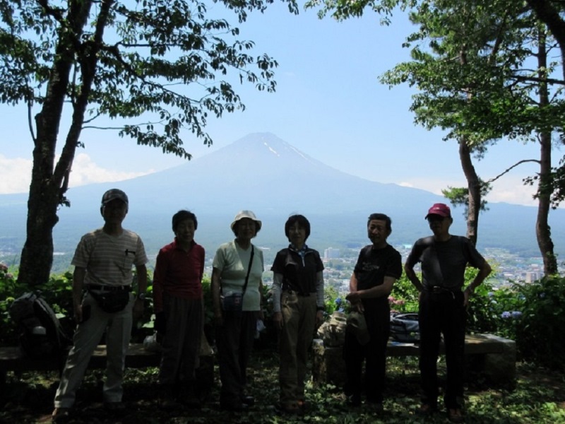 アジサイと富士山 