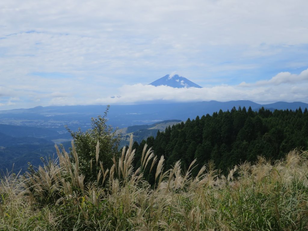 高松山頂上から富士を望む 