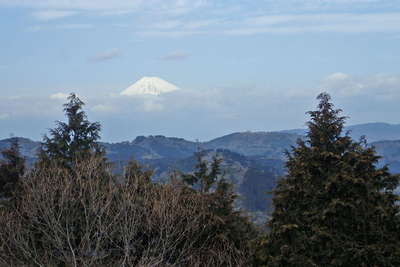 展望所からの富士山