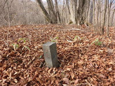 麻生山南尾根入口の目印「四三」の石標 