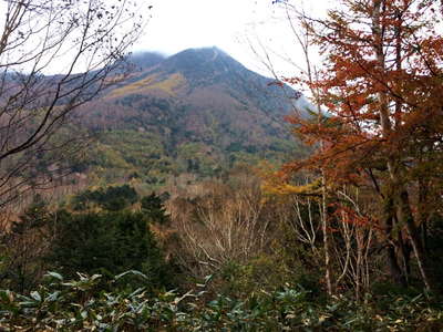 太郎山の眺め 