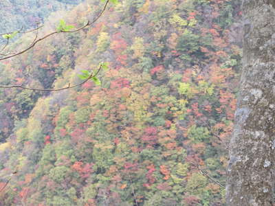 周辺の山の紅葉 