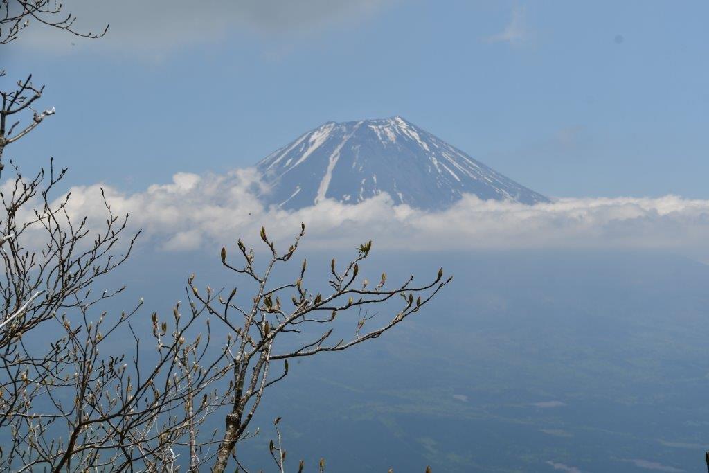 毛無山から見る富士山 