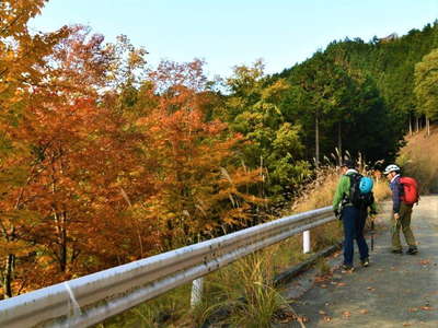 林道上野大滝線 