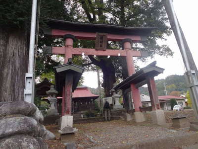 稲村社 