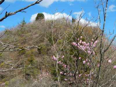 桧沢岳東峰はほんのりピンク色