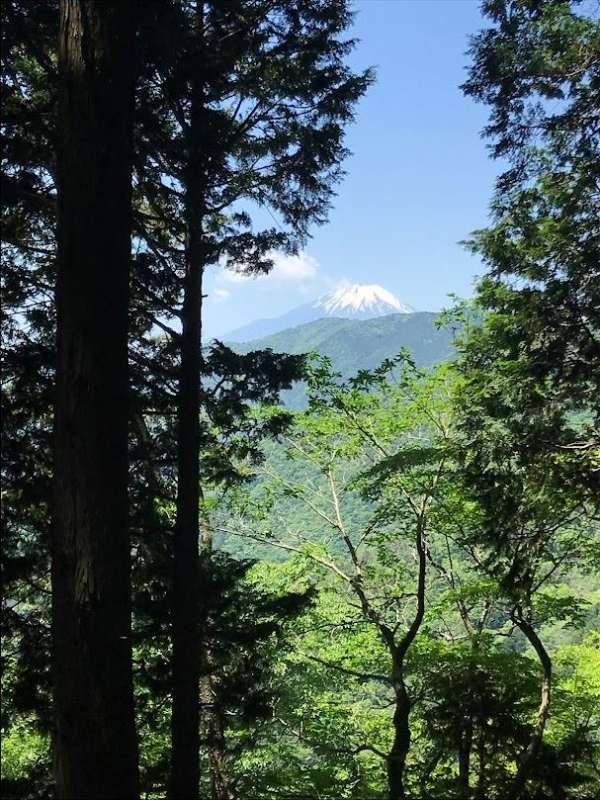 富士山がよく見える 