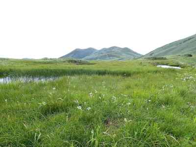 池塘と仙ノ倉山 