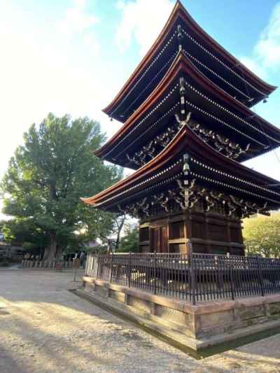 飛騨国分寺の三重塔と大イチョウ