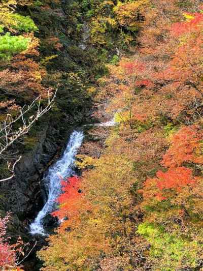 見おろす湯川渓谷の紅葉