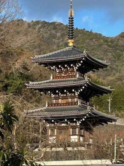 浄発願寺の三重の塔