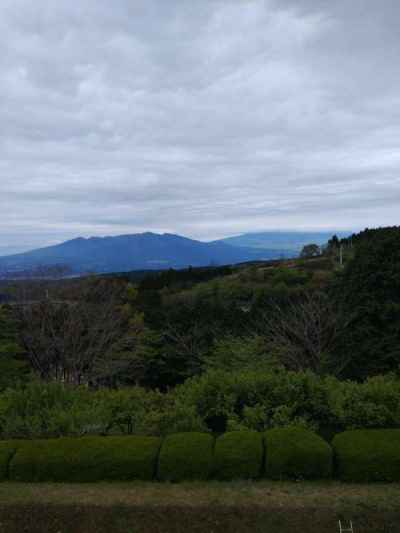 まずは岱崎出丸を見学。富士山は雲にかくれて見えない 