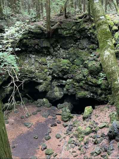 冨士風穴（土壌の層は極めて薄い）