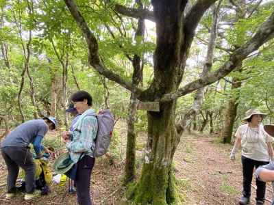 大室山北峰山頂 