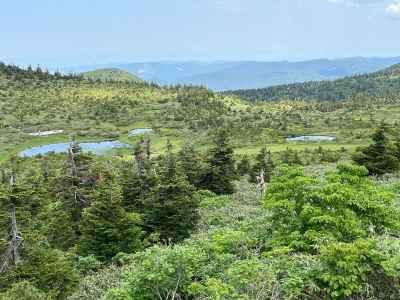 田茂萢岳から見る田茂萢湿原