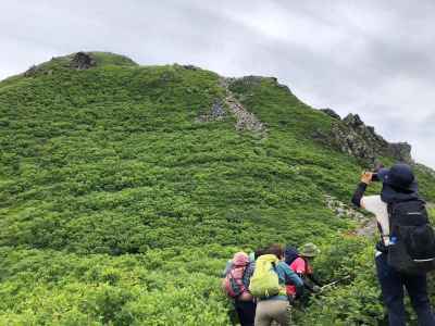 山頂を目指す 