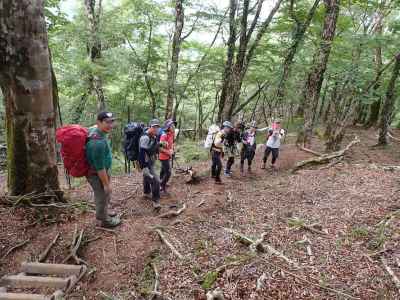 登山道に出る 