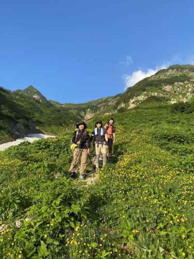 ミヤマキンポウゲ咲く下山道 