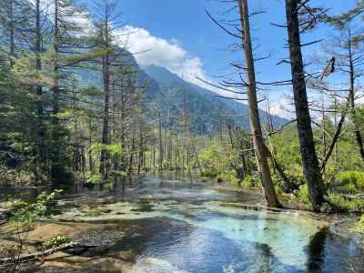 岳沢分岐の”ミニ大正池” 