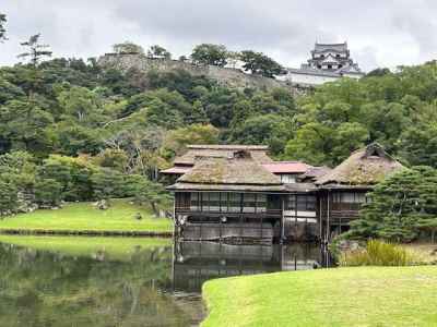 玄宮園から彦根城を望む 