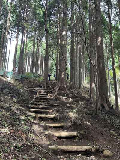 静かな尾根道