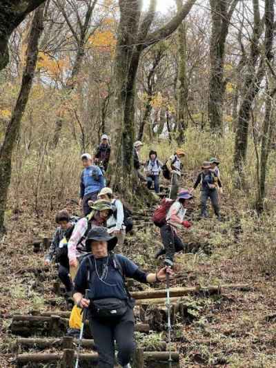 紅葉が彩るブナの林を下山 