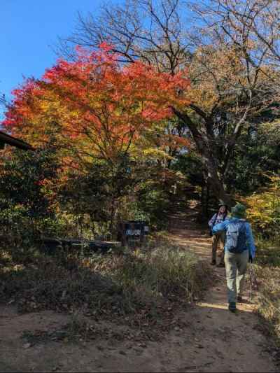 山頂手前 