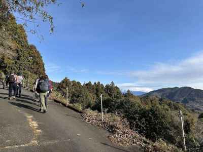 舗装道路の登りが続く、両側は蜜柑畑 