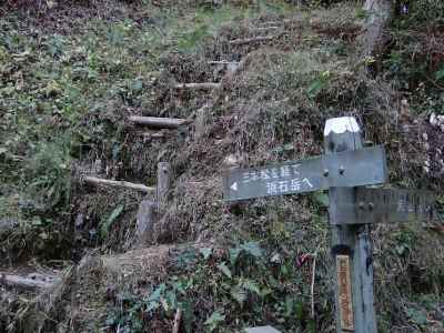 舗装道路からやっと山道に入る 