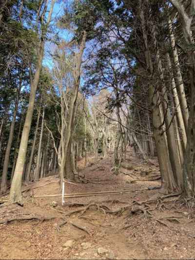 静かな登山道