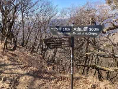 静かな尾根をヤビツ峠まで下る 