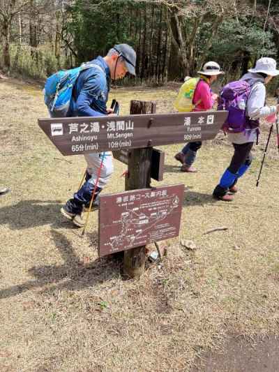 大平台分岐 
