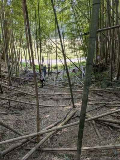 四の廓側から入る