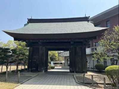 薬医門