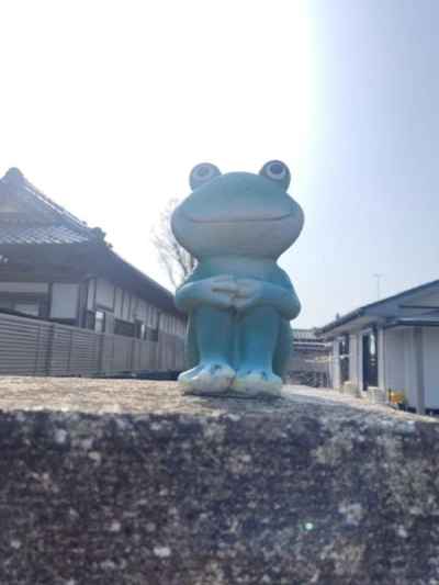 秋葉バス停近くのカエル 