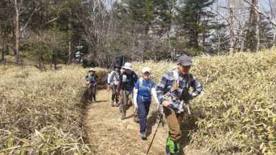 大菩薩峠へ向かう。クマザサの登山道を進む
