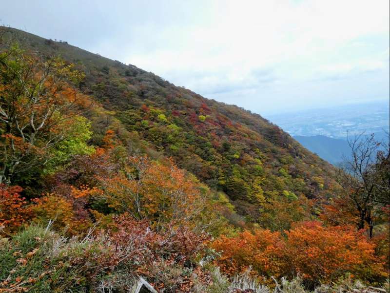 山腹の紅葉