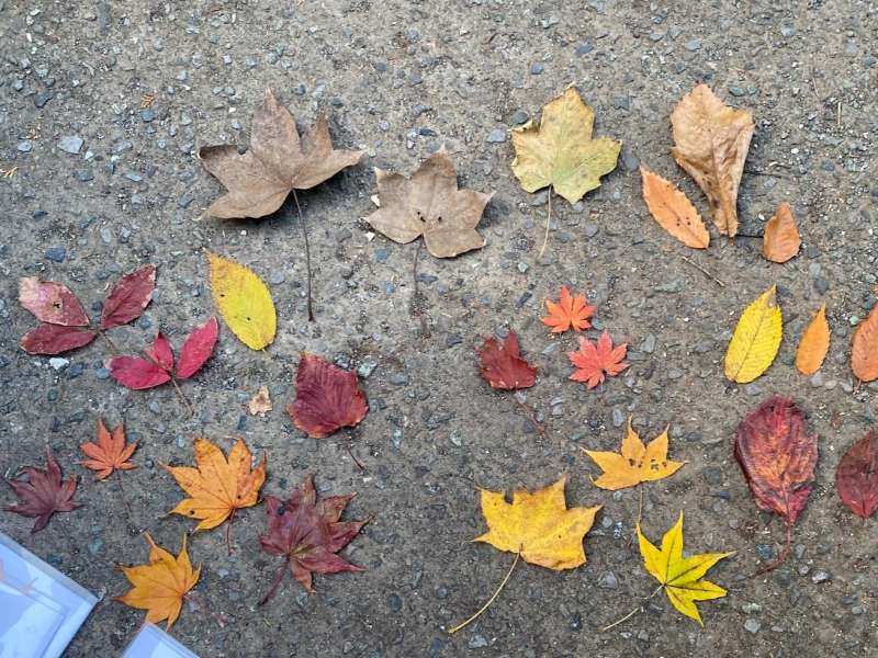 いくつわかるかな?