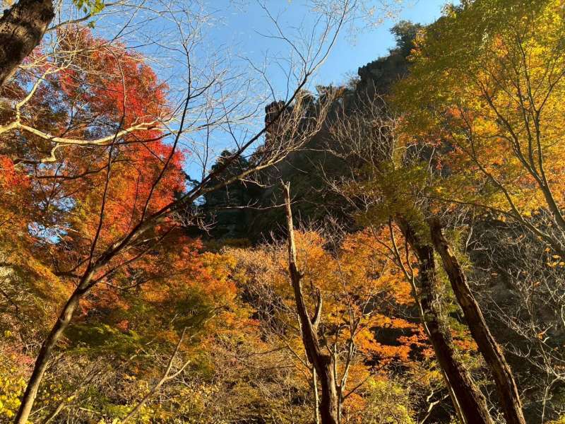 岩峰と紅葉の見事なコントラスト!